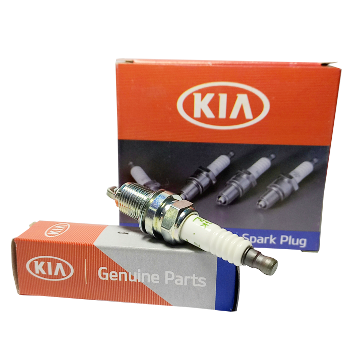 Spark PlugKia Popular